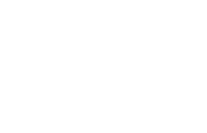 Berkshire Hathaway HomeServices Commonwealth Real Estate Logo